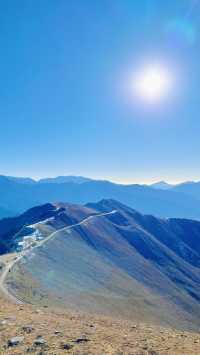 你不想在達瓦更扎享受一次難忘的自駕之旅嗎？
