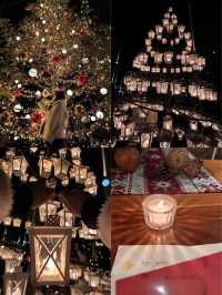 Experience the Enchanting Christmas Lights at Karuizawa's Starry Forest