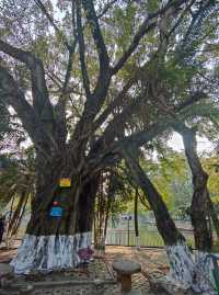 桂平中山公園