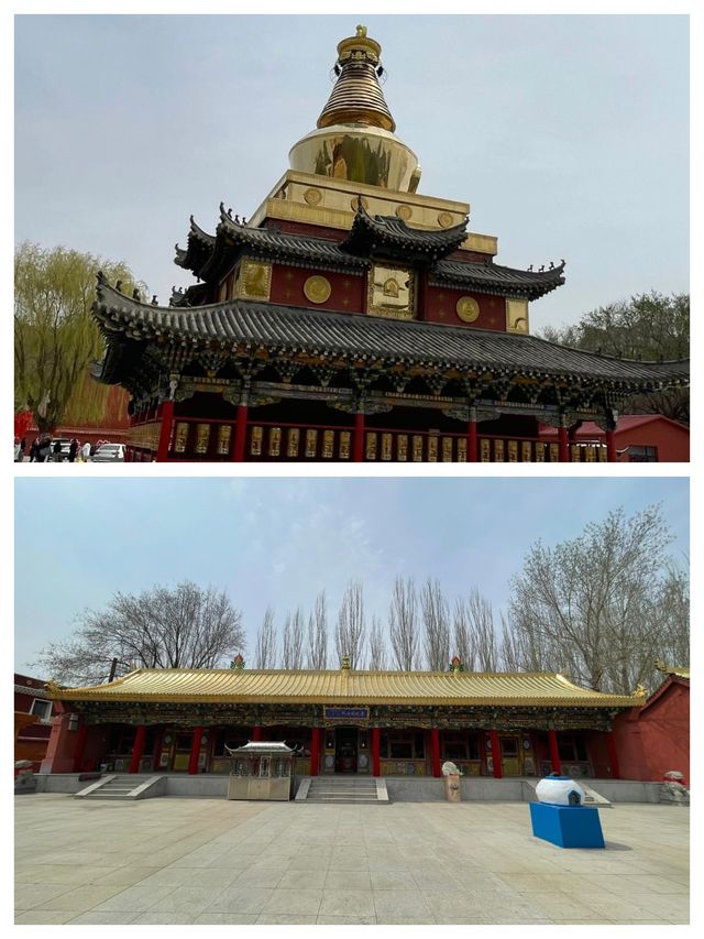 通遼充滿活力的土地