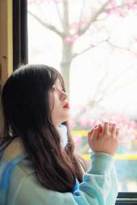 廣州鐵路博物館日系小清新的專屬背景板