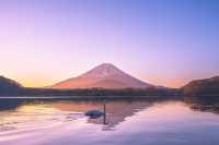 交換一張富士山的冬季照片！