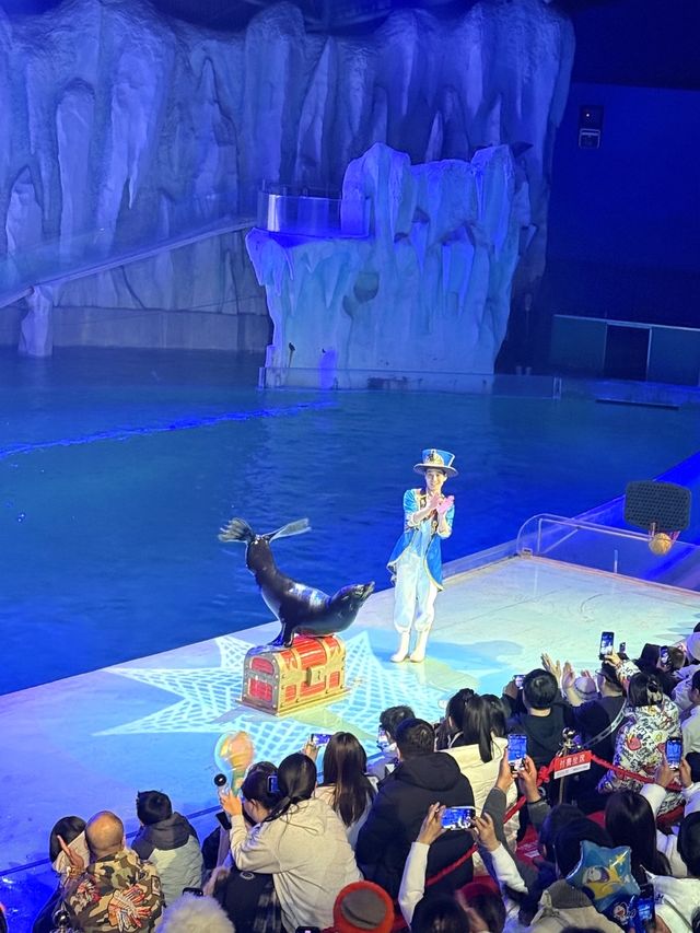 哈爾濱旅遊，極地公園讓我大開眼界！