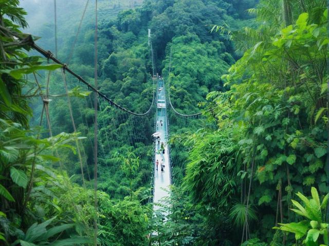 來川西竹海深呼吸，沉醉天然氧吧