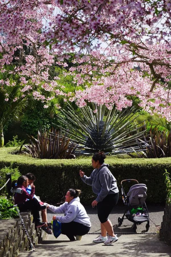 Explore the Auckland Botanic Garden This Spring