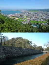 日本德島