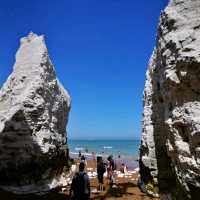 Botany Bay at Kent: A Glance at Nature's Wonders