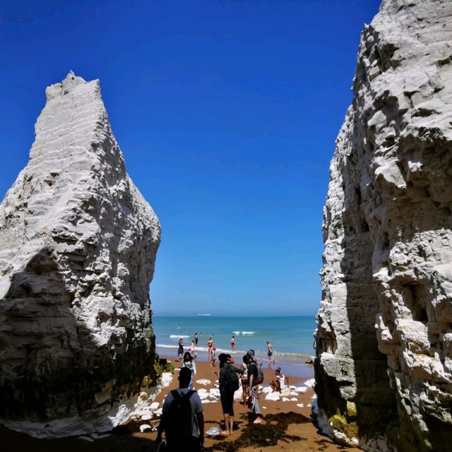 Botany Bay at Kent: A Glance at Nature's Wonders