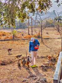 住進高黎貢山嘅山野間同猕猴共寢？！後勁太大！