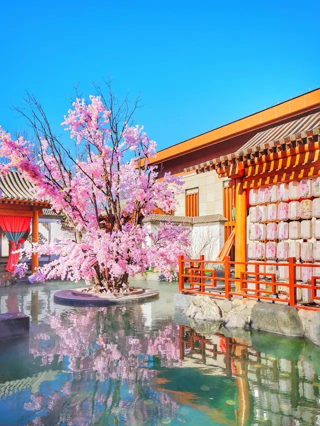 Vocal...北京呢度靚到喊!!