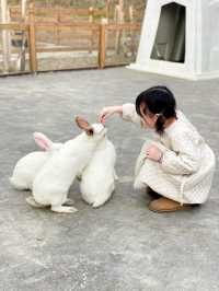 成都出發1h ｜餵奶牛餵小動物 遛娃…