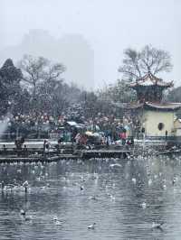 昆明大觀公園雪景如畫