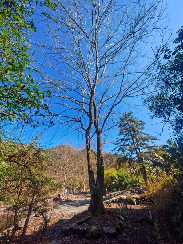 冬天去廣福山，可以看到果凍一般的水~