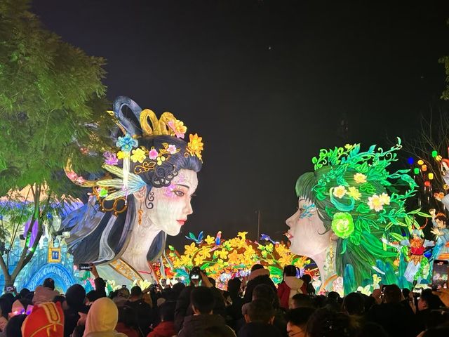 沒有看過自貢燈會的春節是不完整的