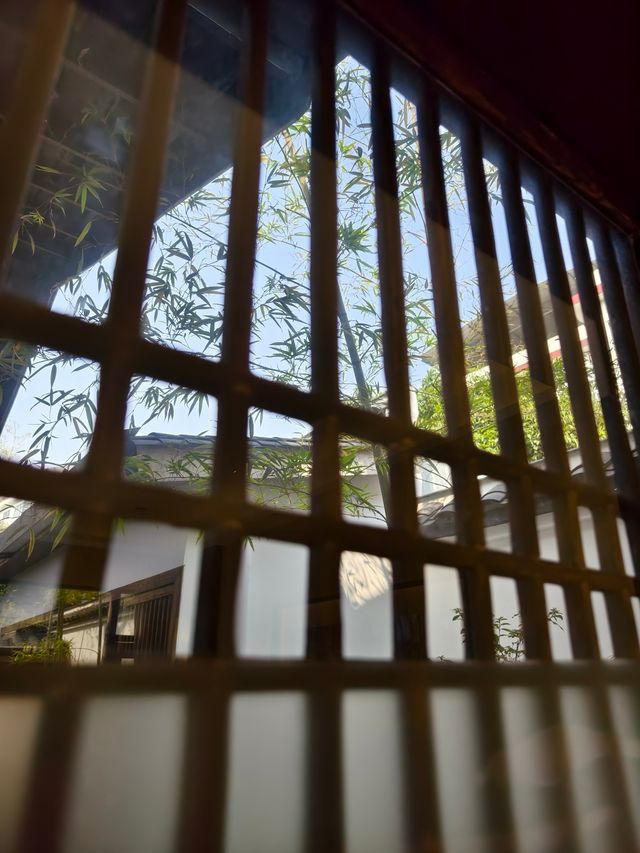 《恭城秋日漫記：柿紅與茶香織就的慢時光》