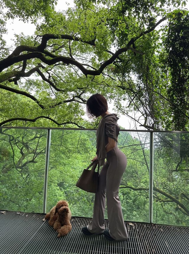 茅山風景區避坑指南