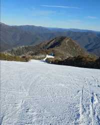 【墨爾本滑雪指南 | 澳洲維多利亞冰雪狂歡】