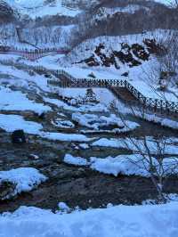 哈爾濱-雪鄉-延吉：踏雪尋古 邂逅北國古風之美