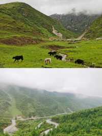 去遮陽山，看不一樣的山，享受清歡