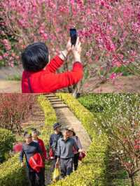 栖心宿·邂逅西樵山「花花」奇緣