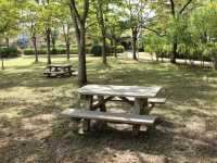 桂中央公園