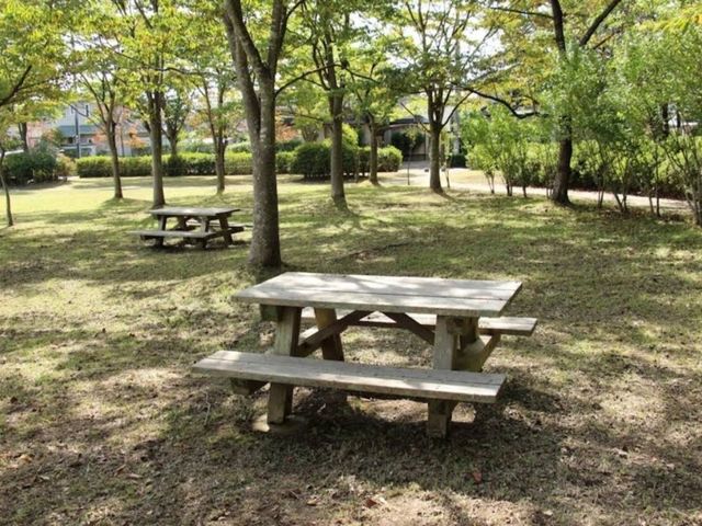 桂中央公園