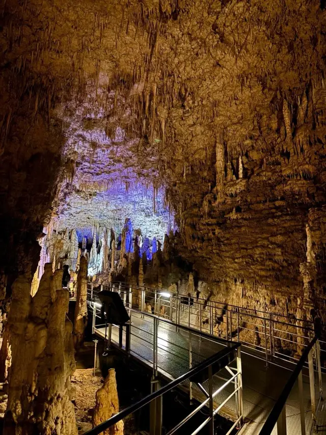 Winter Break Trip to Japan's Botanical Gardens