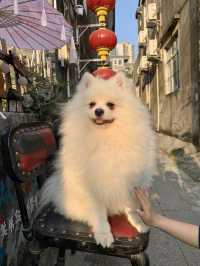 中山三溪村，適合漫步的小村落