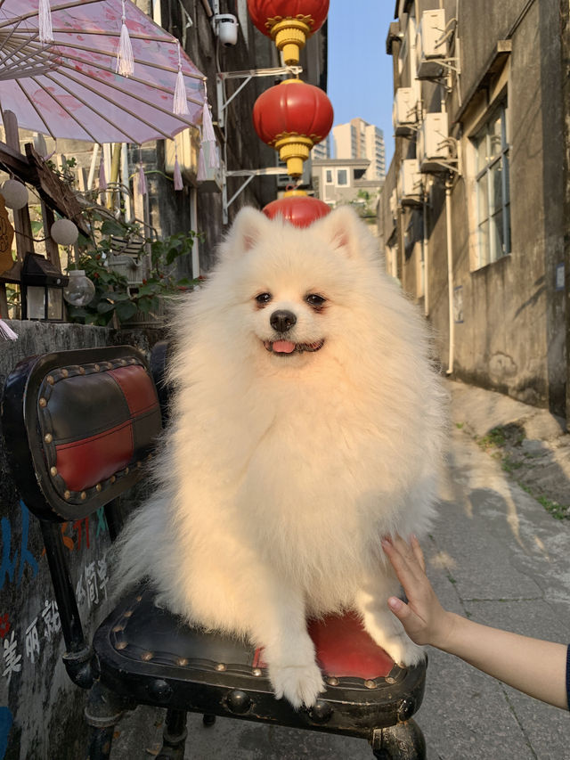 中山三溪村，適合漫步的小村落