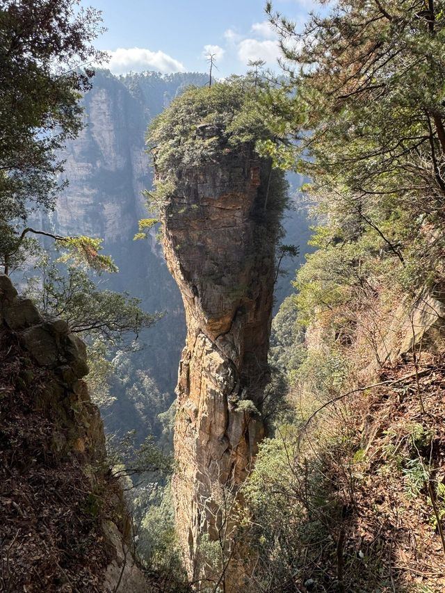 寒假探秘長沙-張家界-鳳凰 古風之旅的正確打開方式