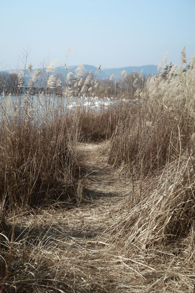 【西安→三門峡】一日往返路線！人少景美！