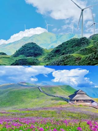 Asilixi Grassland | Enter the World of Hayao Miyazaki's Comics