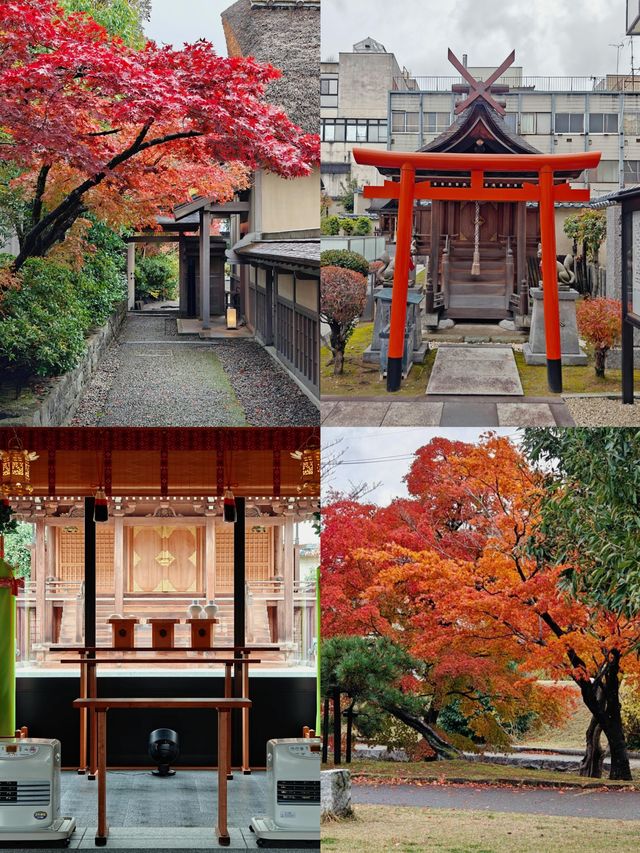 解鎖福井：小眾日本的私藏畫卷
