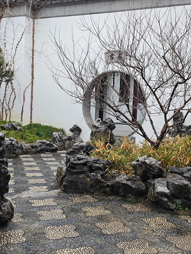下雨天和園林更配哦-可園拍照打卡攻略
