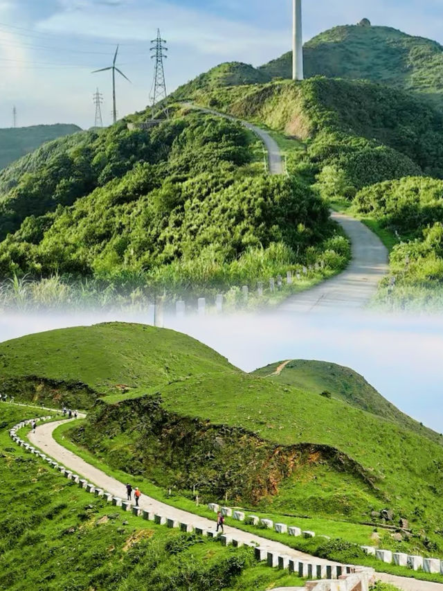 放棄武功山，廣東最適合新手的高山草甸絕了