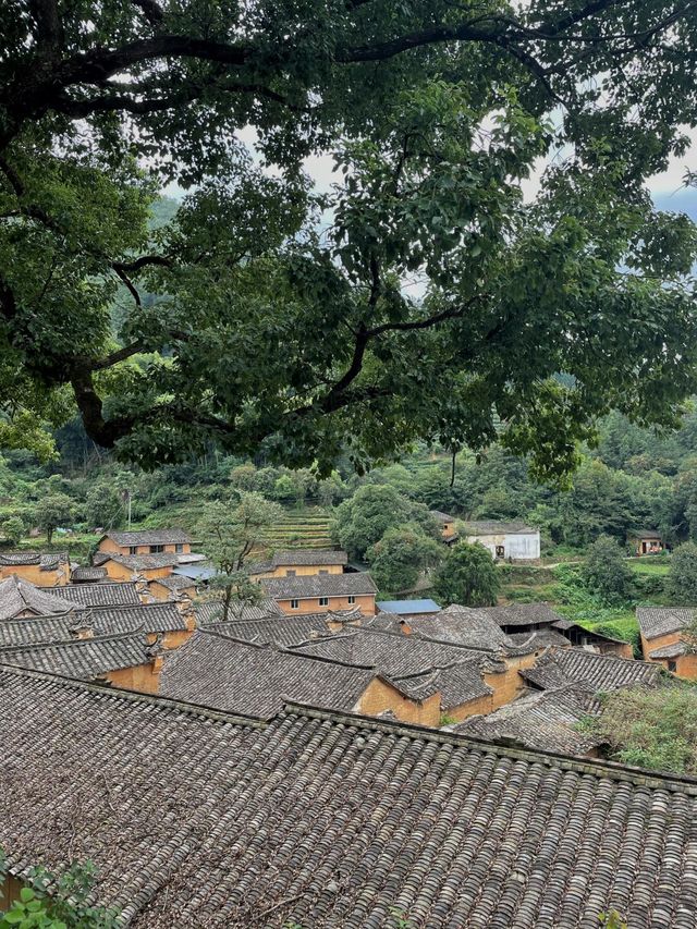 誤入江南綠野仙蹤，麗水藏着我嚮往的慢生活