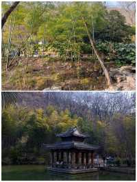 滁州，2025年2月遊記，沒來過的要注意因為一首歌來到一座城