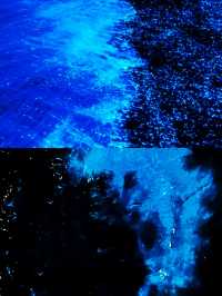 天津海邊藍眼淚,睇呢篇攻略就夠晒🫶🩷