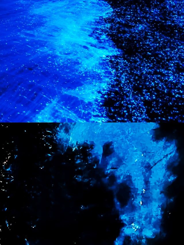 天津海邊藍眼淚,睇呢篇攻略就夠晒🫶🩷 天津海邊藍眼淚,睇呢篇攻略就夠晒🫶🩷