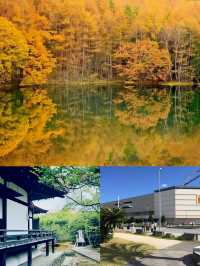 解鎖沖繩宜野灣，寶藏旅行地全攻略