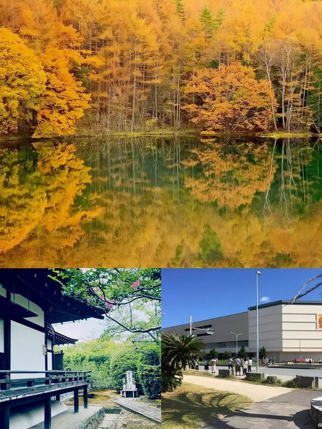 解鎖沖繩宜野灣，寶藏旅行地全攻略
