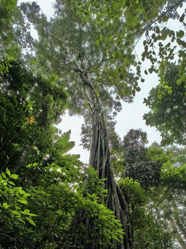 8天暢遊雲南昆明-大理-麗江 超詳細行程攻略