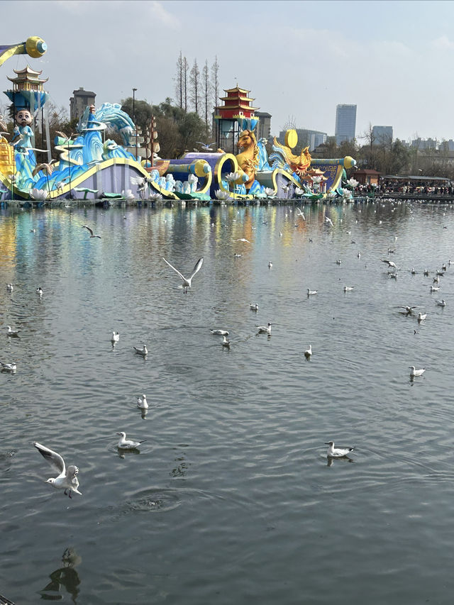 大觀樓餵海鷗