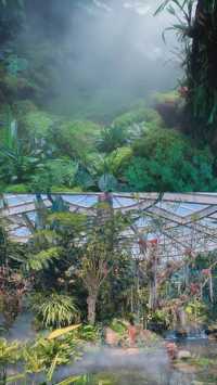 昆明植物園｜我不允許還有人沒去過。