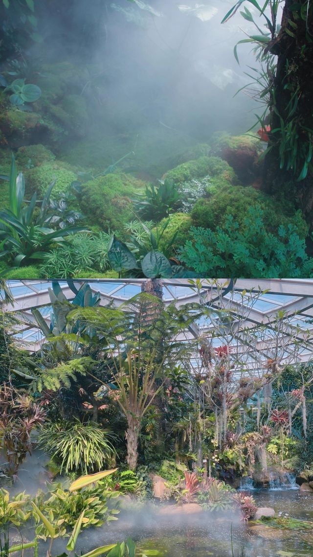 昆明植物園｜我不允許還有人沒去過。