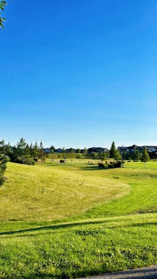 Dreamy Saskatoon | Embark on a Colorful Prairie Journey