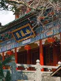 禪源寺｜我願稱之為杭州最美寺院沒有之一！