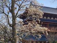 浙江｜位列「五山十剎」之首的徑山寺