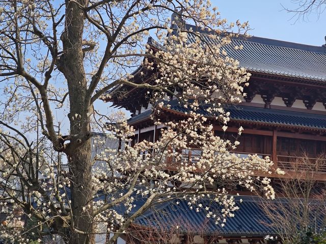 浙江｜位列「五山十剎」之首的徑山寺