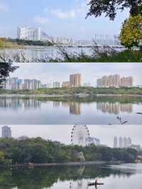 遊玩休閒好去處——南湖公園